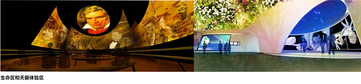 生命陽(yáng)光館介紹