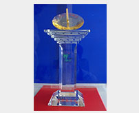 2010年上海市世博會(huì)優(yōu)秀服務(wù)獎(jiǎng)